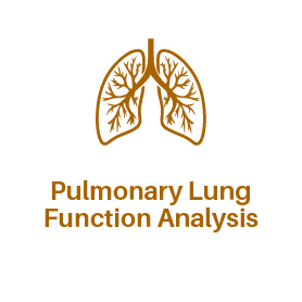 Pulmonary Lung Function Analysis